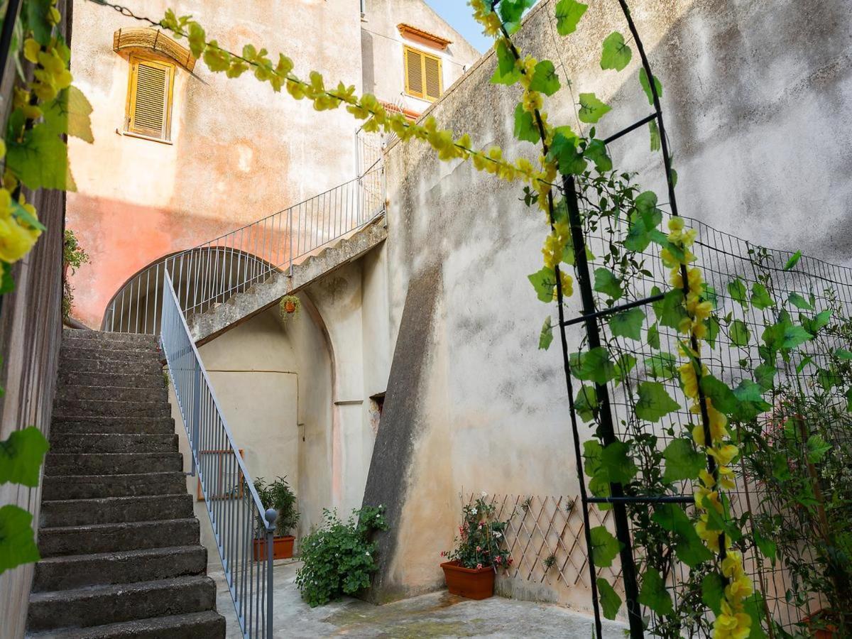 Bed and Breakfast Al Vicolo Stretto Santa Maria a Vico Экстерьер фото
